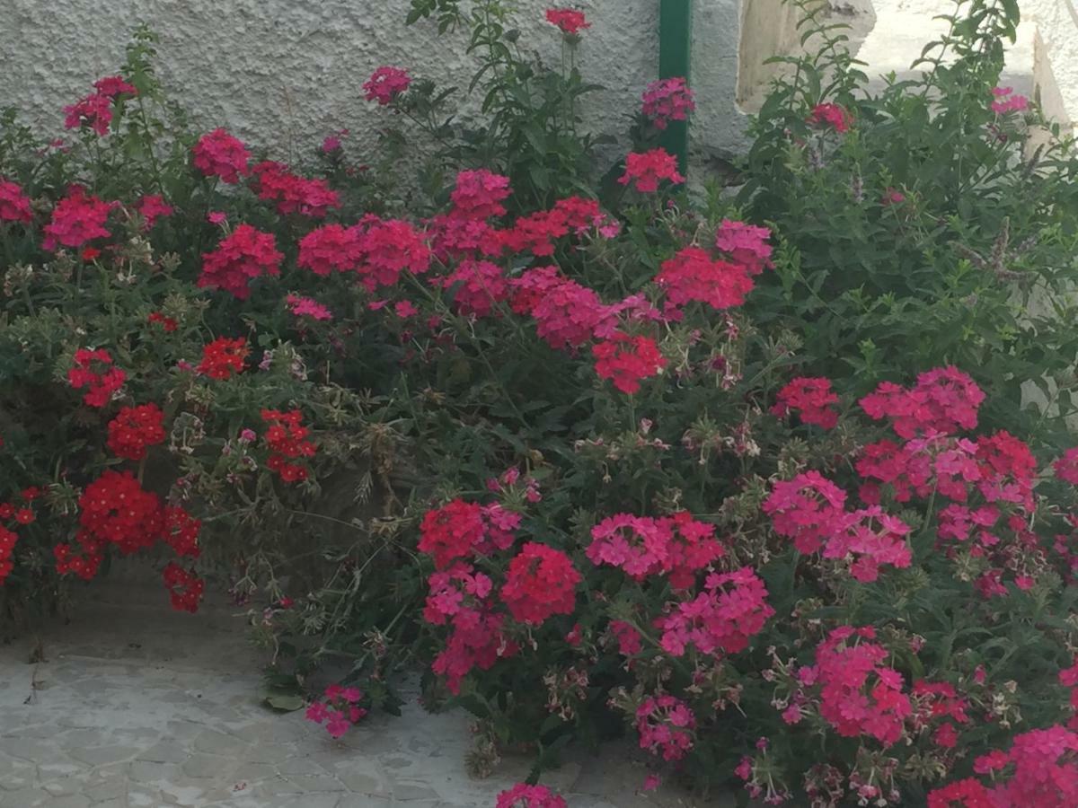 Casa Sul Mare - Wifi Free - Parcheggio Privato Daire San Foca Dış mekan fotoğraf